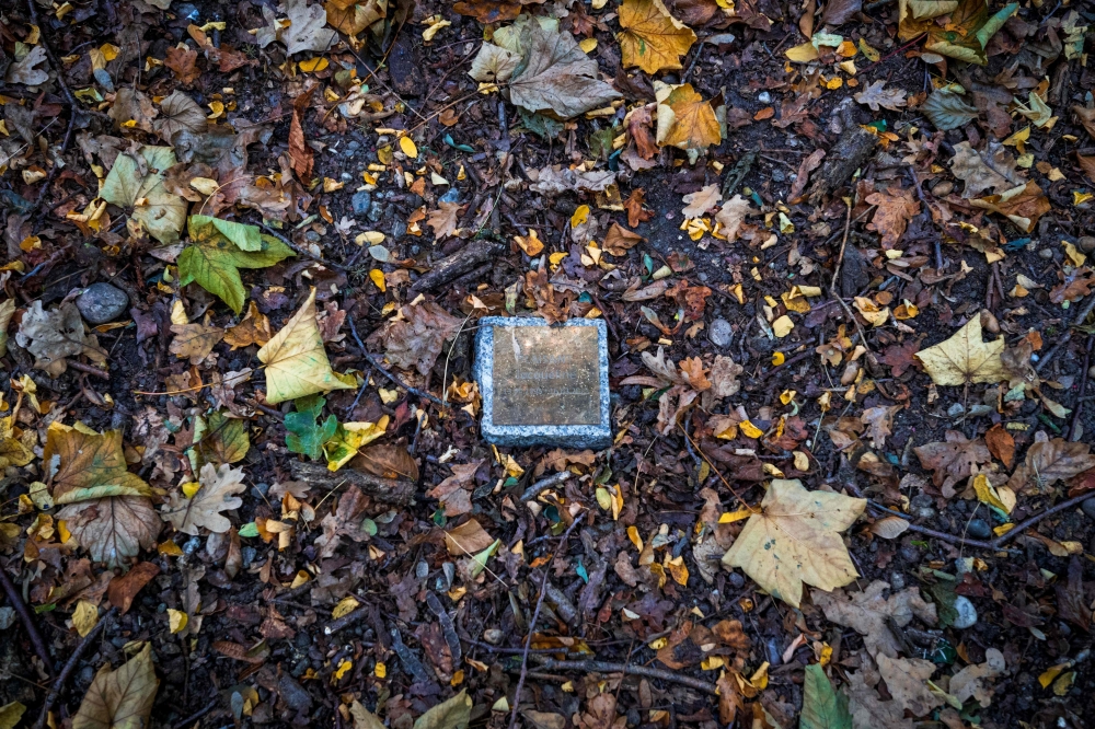 A paving stone with a commemorative plaque is seen in a forest sanctuary. — AFP pic