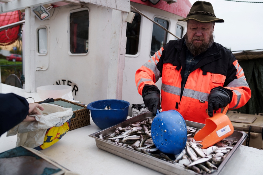 Fisherman Matti Kukkola sells fish from the boat during the fish market in Helsinki, Finland on October 6, 2023. — AFP pic