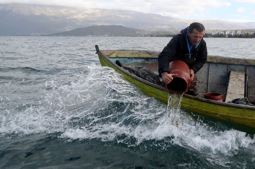 The work to repopulate Lake Ohrid along its Albanian shoreline is a year-round affair. From December 1 to early March, fishing is prohibited in Lake Ohrid to prevent the disruption of the trout’s breeding cycle. — AFP pic   