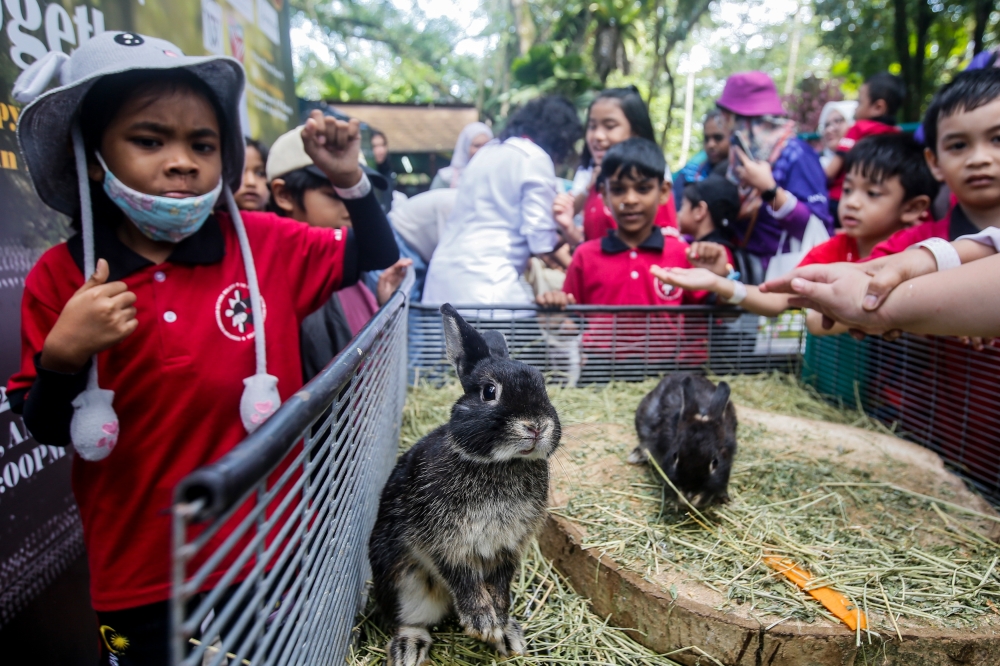 Autistic children under the National Autism Society of Malaysia (Nasom) partakes in animal-assisted therapy organised by Piepie Pet Memorial at Zoo Negara November 27, 2023. — Picture by Hari Anggara