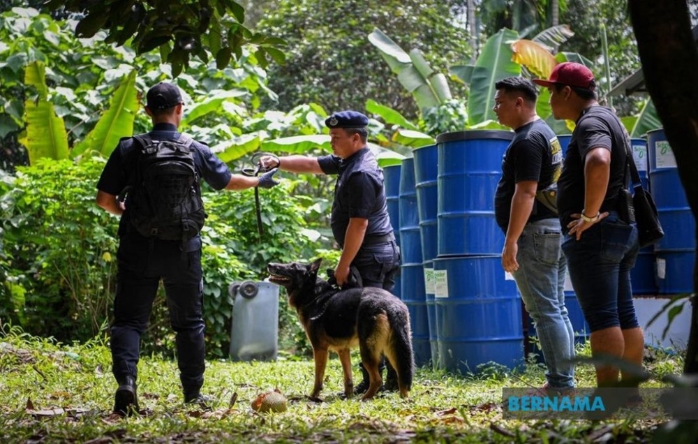 The police are using the services of two of their tracker unit dogs, Falco dan Jimmy, to detect any evidence that could lead to the person responsible for six-year-old Zayn Rayyan’s death. — Picture via X/Bernama 