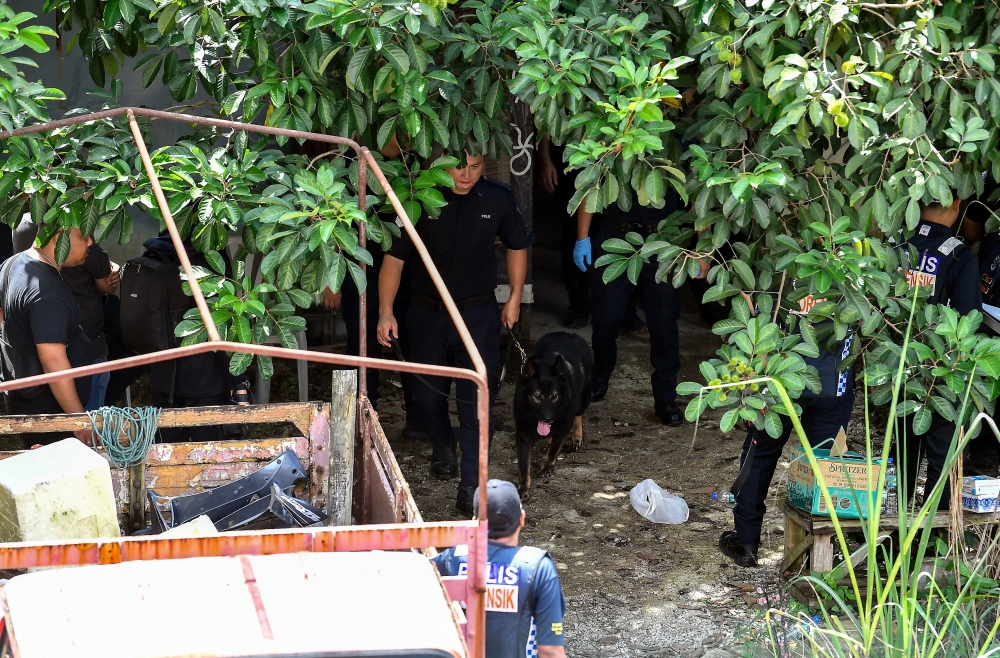 A sniffer dog from the Bukit Aman Detective Unit (K9) was brought to the location where the body of Zayn Rayyan Abdul Mattin was found, which was 200 meters away from his residence in Apartment Idaman, Damansara Damai, to assist in the investigation December 10, 2023. — Bernama pic