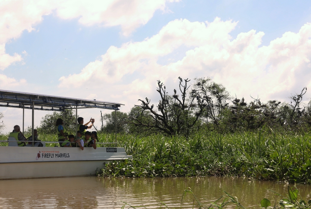 Tourists take a picture of the Asian Open Bill, a white stork species, during a river cruise at Pulau Bangau, December 25, 2023. — Bernama pic 