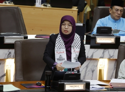 Selangor outlines five elements for care economy framework, says exco