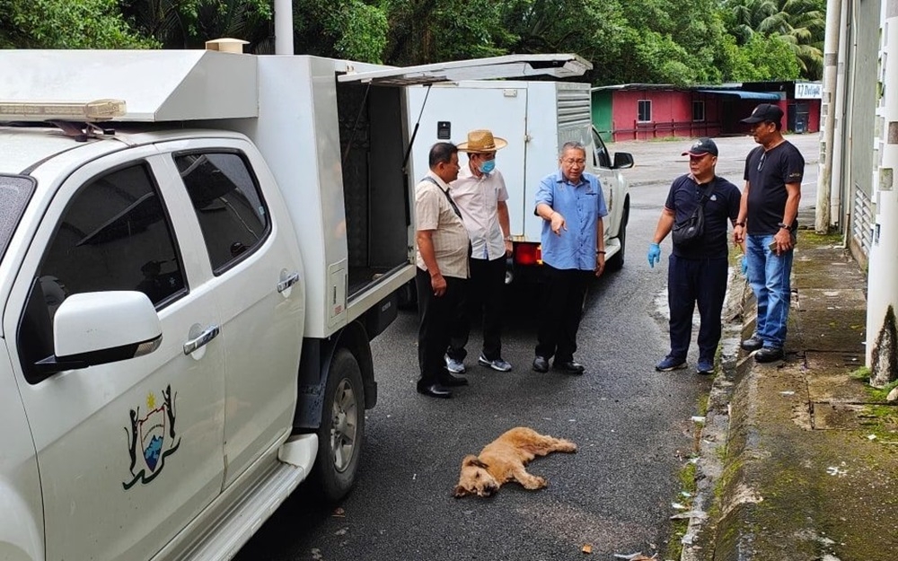 Kuching South Mayor Datuk Wee Hong Seng and others with the captured dog. — Borneo Post pic