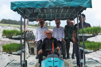 Agriculture Ministry aims to transform 150,000 hectares of paddy fields nationwide into Sekinchan-style cultivation, says Mat Sabu