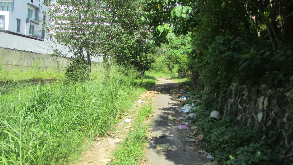 The path leading to the Bayan Lepas waterfall is strewn with rubbish. — Picture courtesy of CAPc