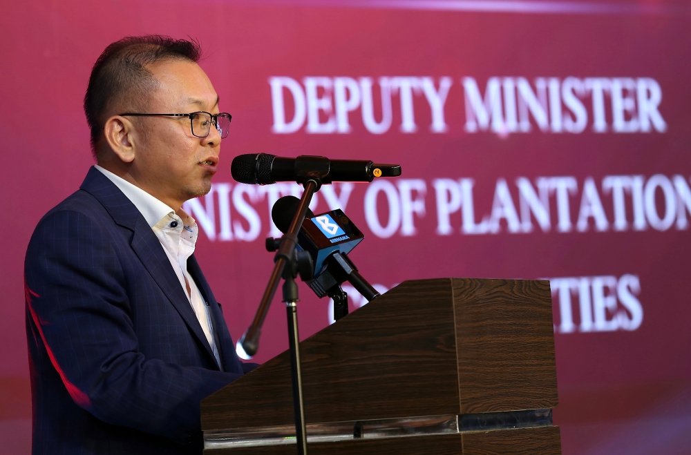 Deputy Plantation and Commodities Minister Datuk Chan Foong Hin said the Sandakan Division, which includes the districts of Sandakan, Kinabatangan, and Sugut/Labuk (Beluran), has an oil palm planting area of 742,304 hectares (ha) with a replanting area of 34,016 ha, and as many as 65 oil palm mills in operation. — Bernama pic 