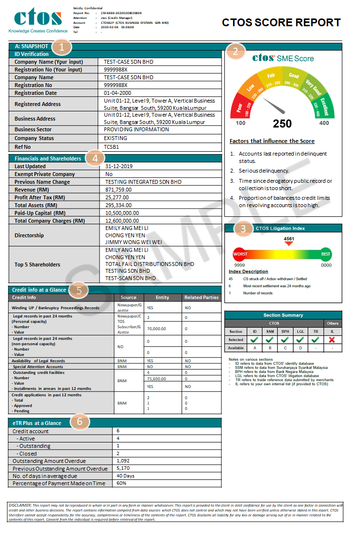 Sample CTOS credit score report. — SoyaCincau pic 