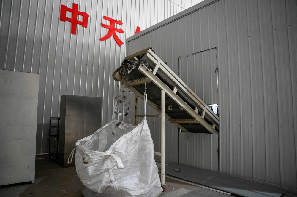 This photo taken on March 27, 2024 shows pieces of wedding photos leaving a conveyor belt after being put into a shredding machine at a warehouse in Langfang. — AFP pic