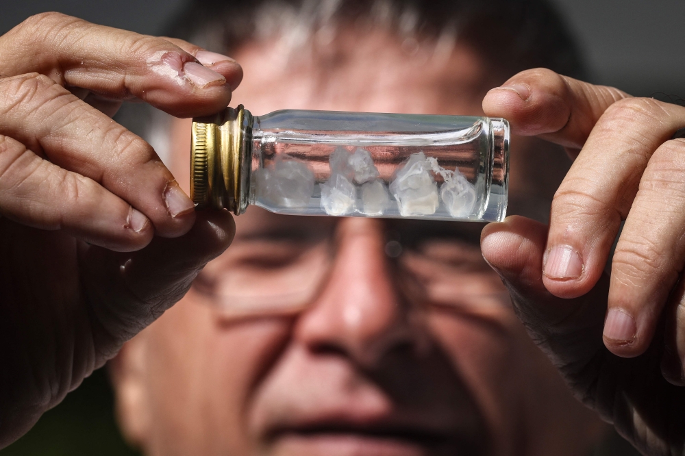 This photo taken on April 8, 2024 shows James Cook University associate professor and toxicologist Jamie Seymour holding a vial containing Irukandji jellyfish in his work shed in the Queensland city of Cairns. — AFP pic