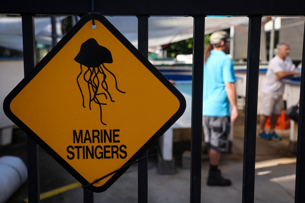 This photo taken on April 8, 2024 shows James Cook University associate professor and toxicologist Jamie Seymour (right) and an assistant standing near tanks located outside his work shed in the Queensland city of Cairns. — AFP pic