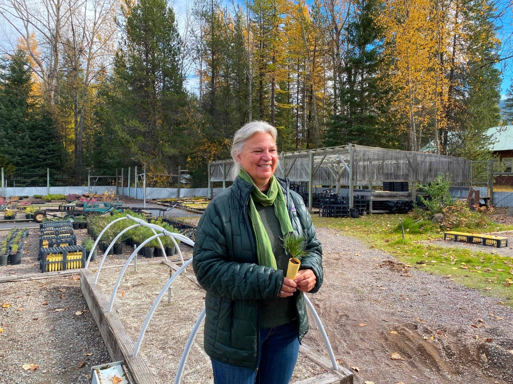 Biologist and vegetation programme manager Dawn LaFleur in the plant nursery of Glacier National Park on October 18, 2023. — AFP pic