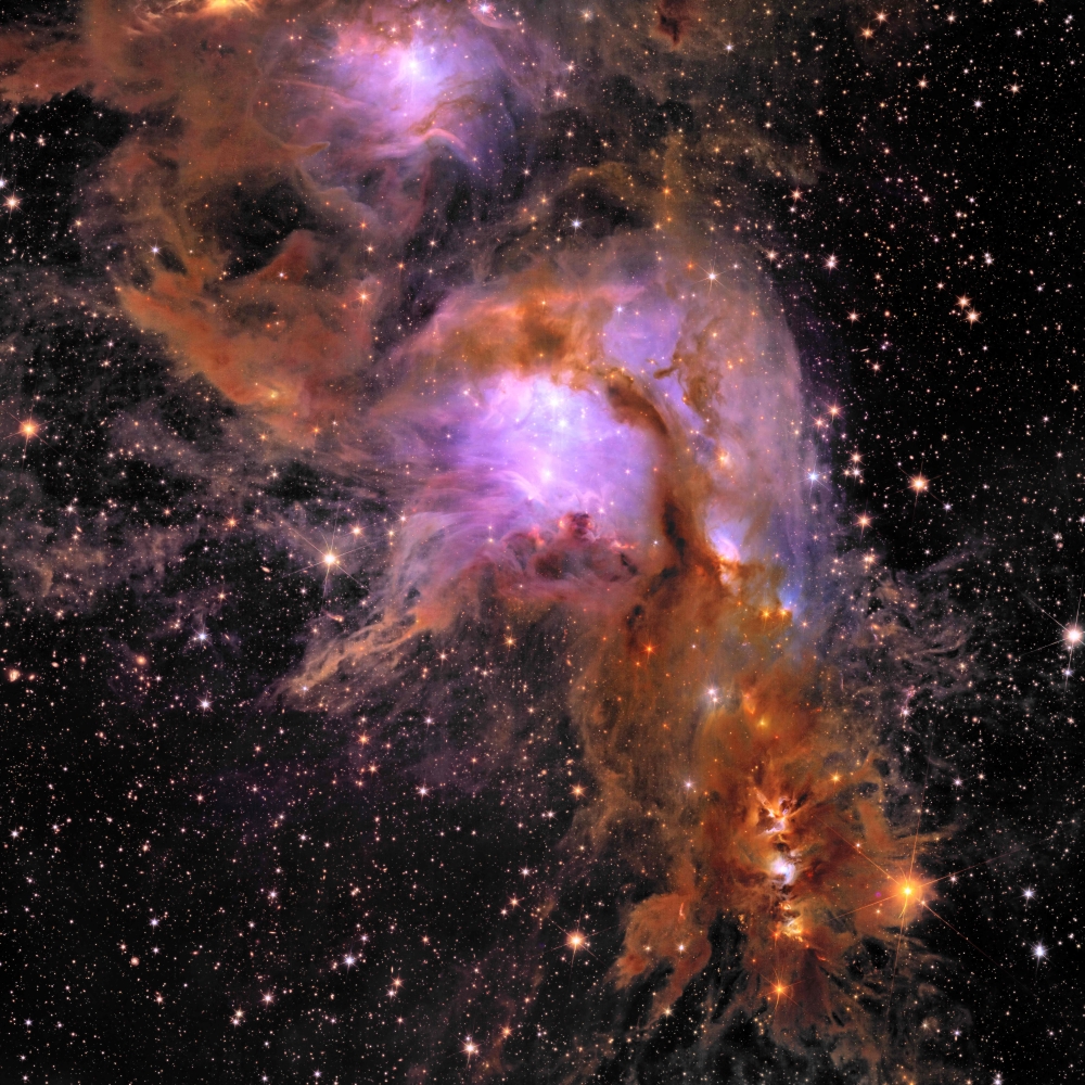 Euclid also captured the deepest-ever image of the Messier 78, a nursery where stars are born 1,300 light years from Earth in the Orion constellation. Stars are still in the process of forming in the bluish centre of the image. After gestating for millions of years, they emerge from the purple and orange clouds at the bottom of the image. — ESA/Euclid/Euclid Consortium/Nasa handout pic via AFP 