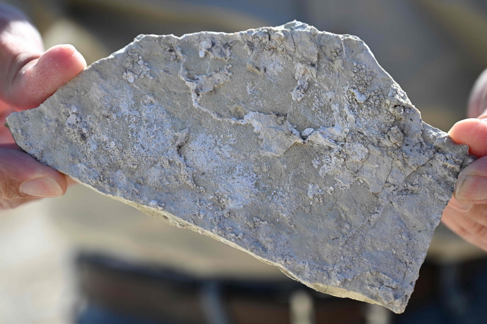 A piece of searlesite, a rock that contains both lithium and boron, is displayed during a visit to the Rhyolite Ridge Project Lithium-Boron mining project site in Rhyolite Ridge, Nevada on May 7, 2024. — AFP pic