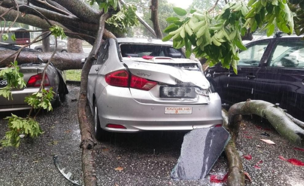 Several damaged cars after the incident. — Picture from X/Bernama 