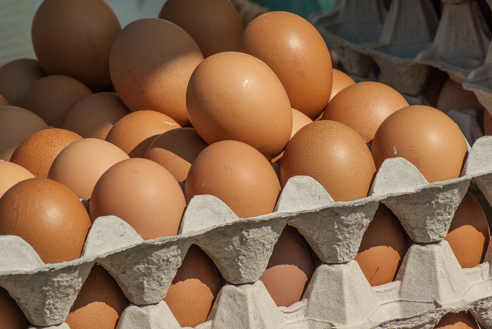 New data reveals a rapid rise in consumer desire for companies to shift to cage-free eggs. — Picture courtesy of Lever Foundation 