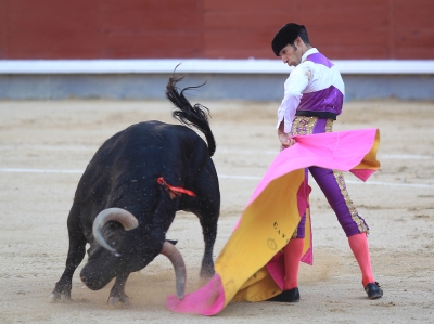 Bullfighting No More: Colombia Congress Passes Bill Banning The Popular ...