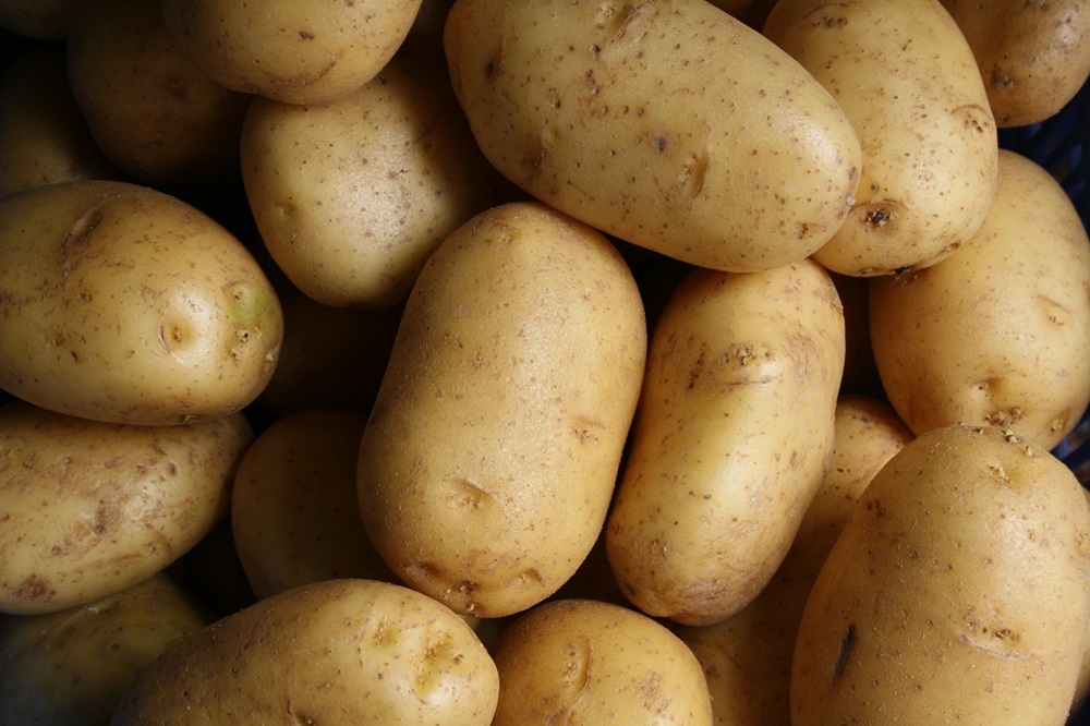 The potato is the new darling of skincare aficionados on TikTok, appreciated for its ability to combat dark undereye circles. — Unsplash pic