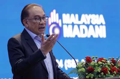 PM Anwar: Govt responsible for fostering local industries 