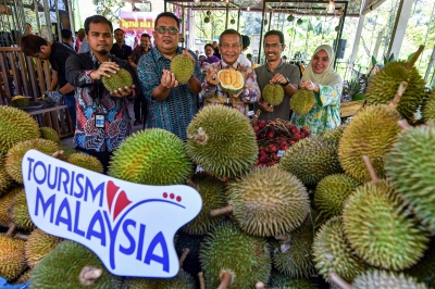 马来西亚旅游局副局长表示，马来西亚旅游局计划销售超过 200 万令吉的榴莲旅游套餐