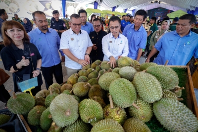 法玛首席执行官保证，新鲜榴莲出口到中国不会推高马来西亚的价格