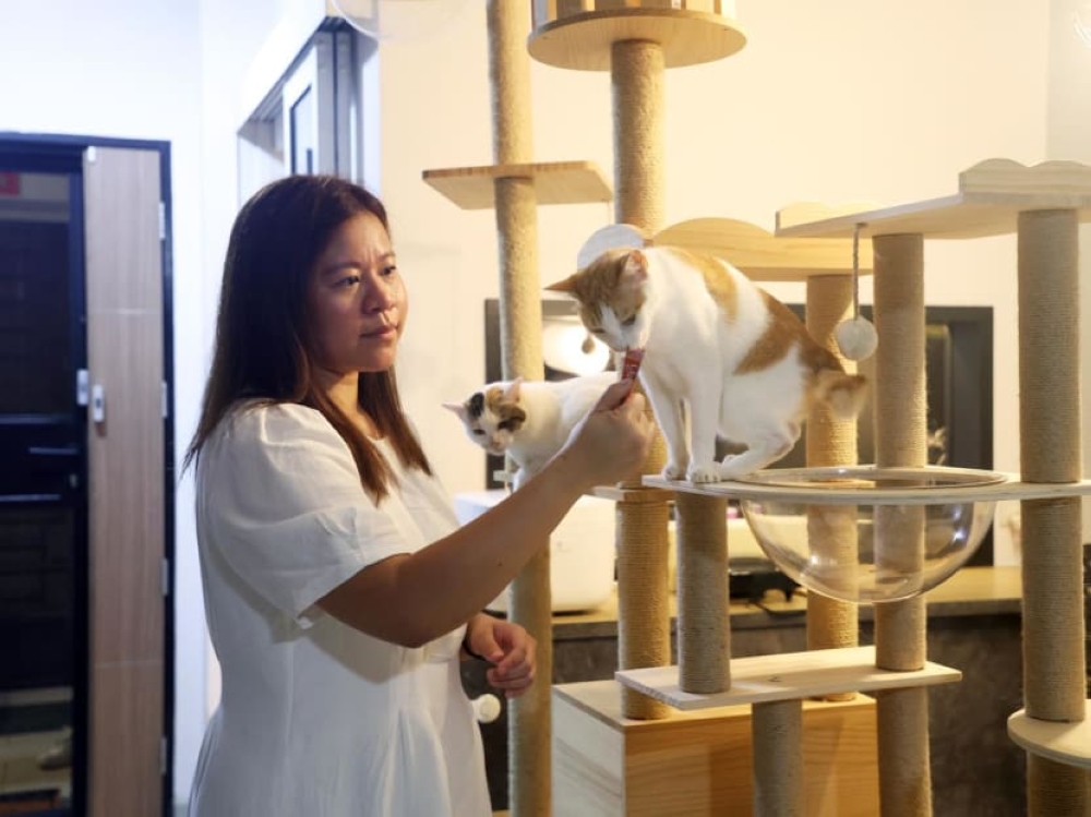 Ms Michelle Shoo (pictured), 34, has fostered about 20 cats a year since 2020. — Picture courtesy of Michelle Shoo