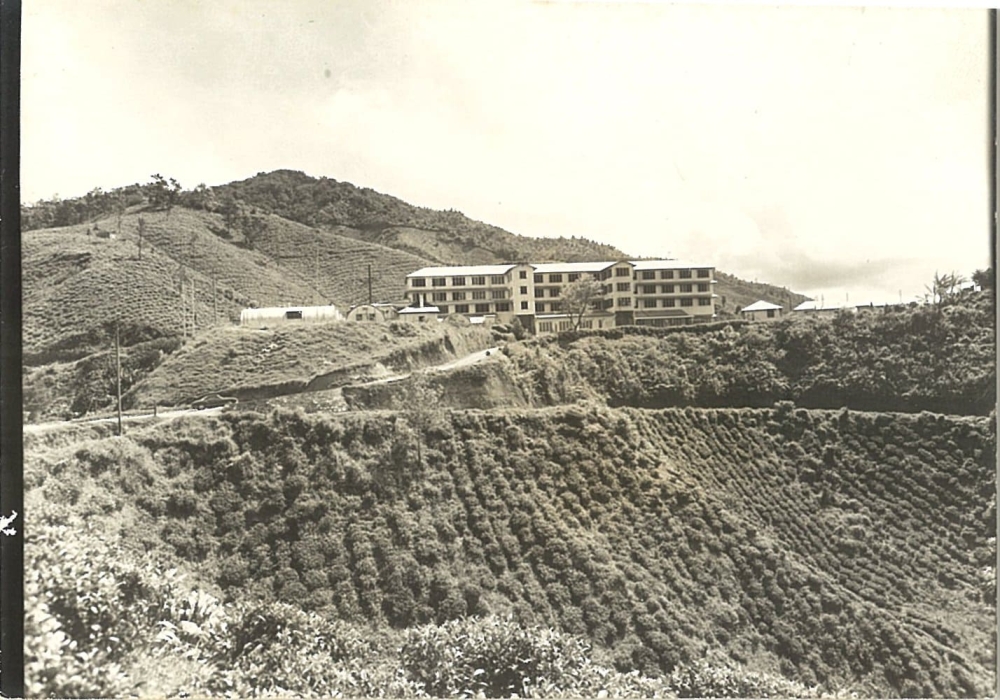 The Boh Tea Garden, the company’s largest and oldest tea garden, is also home to its first tea factory that was built in the 1930s. — Picture courtesy of Boh