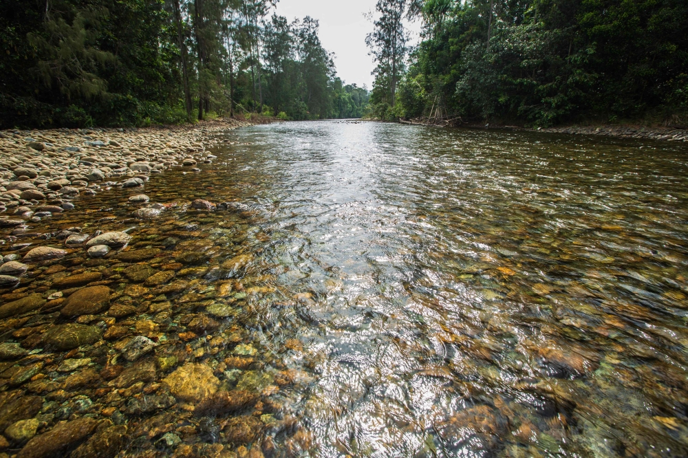 This photo taken on October 8, 2014 shows a river in the forest on the Halmahera island, North Maluku. — AFP pic