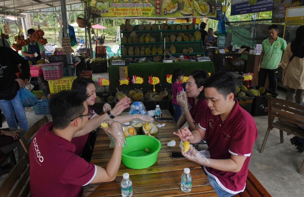 Public health specialist Datuk Dr Zainal Ariffin Omar recommended that durian lovers choose top-quality durians when buying them. — Bernama pic