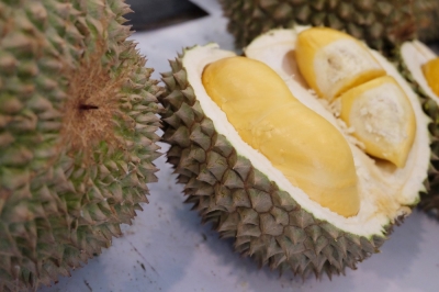 Discover lesser-known durian variants across Malaysia | Malay Mail