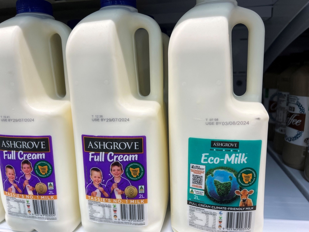 A bottle of ‘Eco-Milk’, produced by cows fed with seaweed that makes them emit less greenhouse gas, sits on a supermarket shelf in Riverside, Tasmania, July 19, 2024. — Reuters pic