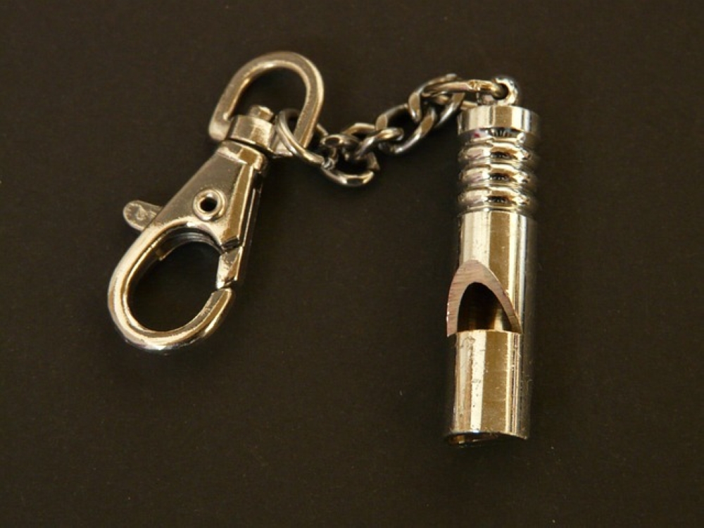 A safety whistle is a simple and inexpensive tool that can draw attention in case of an attack. — Picture courtesy of Pixabay/Hans