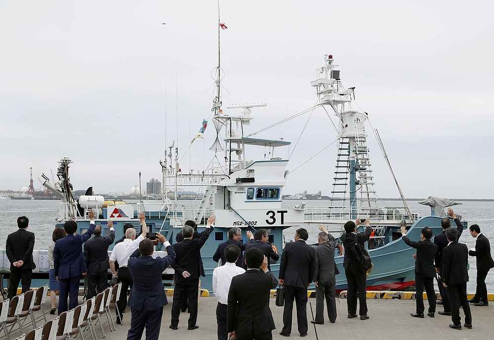 A whaling ship which is set to join the resumption of commercial whaling leave as people send off it at a port in Kushiro, Hokkaido Prefecture July 1, 2019. In May, Japan launched a new “mothership” for its whaling fleet to replace its previous lead vessel, retired in 2023. — Kyodo pic via Reuters