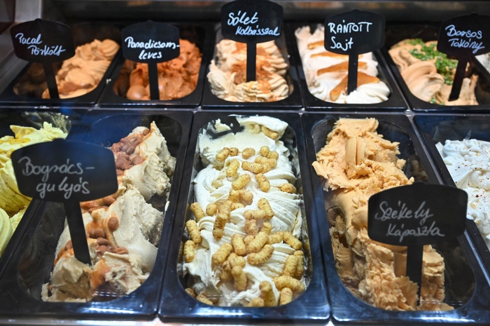 Ice creams on display at 'Roberto confectionary' pastry shop in Tatabanya, northwestern Hungary on August 14, 2024. — AFP pic