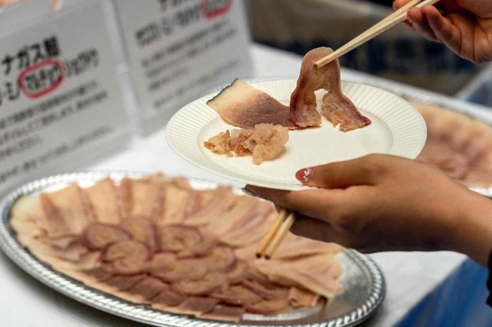 A guest uses chopsticks to grab and taste raw meat from a fin whale at the exhibition and business meeting of domestically produced fin whales hosted by Japan’s whaling company Kyodo Senpaku at Tokyo’s Toyosu market on September 13, 2024. — AFP pic 