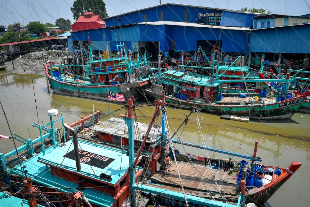 The atmosphere around Hai Seng Huat Fishery, where visitors can find a variety of freshly caught seafood such as fish, prawns and crabs. — Bernama pic 