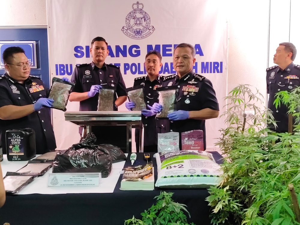 Mancha (right) shows the seized cannabis in packets during the press conference. — The Borneo Post pic