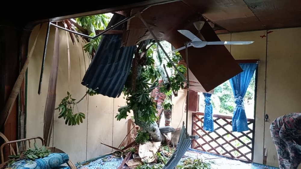 A house in Kg Binai Seberang Tenom is badly damaged by a fallen tree. — Picture courtesy of the Sabah Fire and Rescue Department