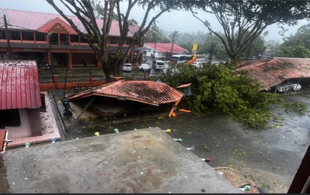 A total of 32 cases of fallen trees were reported following a heavy downpour and storm that hit this district for about 10 minutes today. — Bernama pic