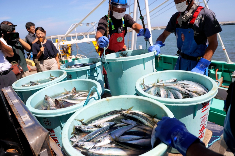 Before the ban, China was the biggest market for Japanese seafood exports. Japan’s exports of agricultural, forestry and fishery products in the first half of 2024 fell for the first time since 2020, hit by China’s ban. — AFP pic