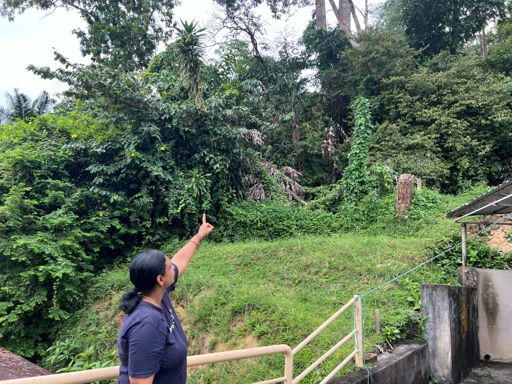 R. Kalivani pointing to the large trees towering above her house. — Picture by Opalyn Mok