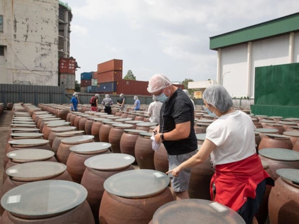 Tour participants pictured at the Tai Hua soy sauce factory on July 26, 2024, looking at vessels containing soy beans that are fermenting. — TODAY pic