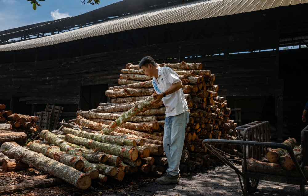 Although charcoal is mainly used as fuel, it is also an important resource for various other products such as cosmetics, cleaning agents and fertilisers. — Bernama pic