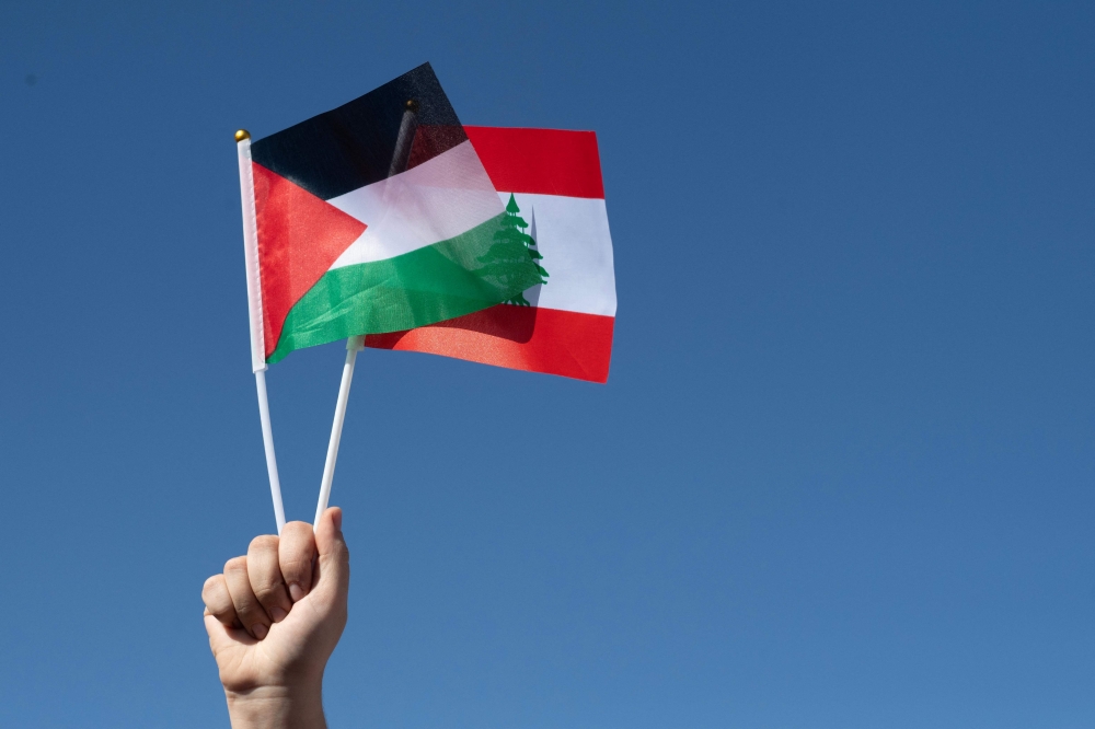 A demonstrator holds up the flags of Palestine and Lebanon during a protest march against the war in Gaza, in Denver, Colorado October 5, 2024. — AFP pic