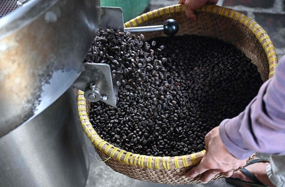 This photo taken on August 21, 2024 shows a worker picking up coffee beans after they are roasted at Thai Cafe's production facility in Hanoi. — AFP pic