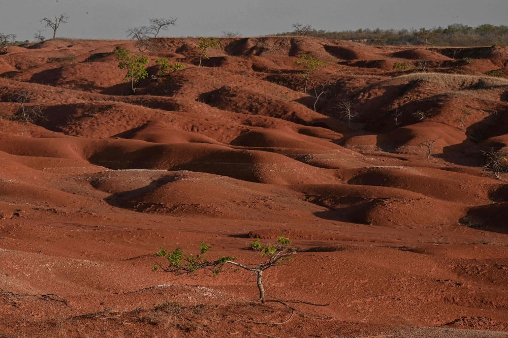 Picture taken at the Desert of Gilbues, in Gilbues, in the northeastern state of Piaui, Brazil, on September 30, 2023. Gilbues is Brazil's worst desertification hotspot, where a parched, canyon-pocked landscape is swallowing up farms and residences, claiming an area bigger than New York City. — AFP pic