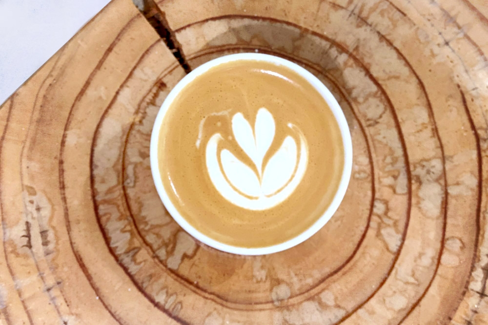 Flat white on a tree stump. – Picture by CK Lim