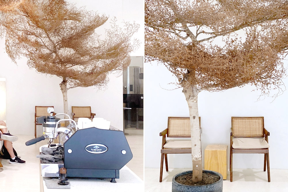 The iconic tree commands the space inside the shop. – Picture by CK Lim