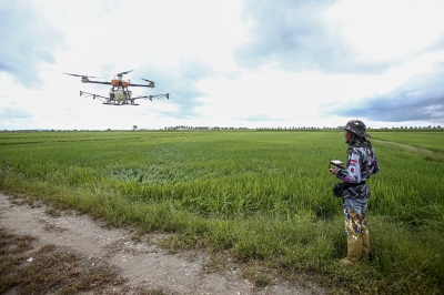 Agriculture 2.0: Digital Tech Set To Transform Malaysia’s Economic ...